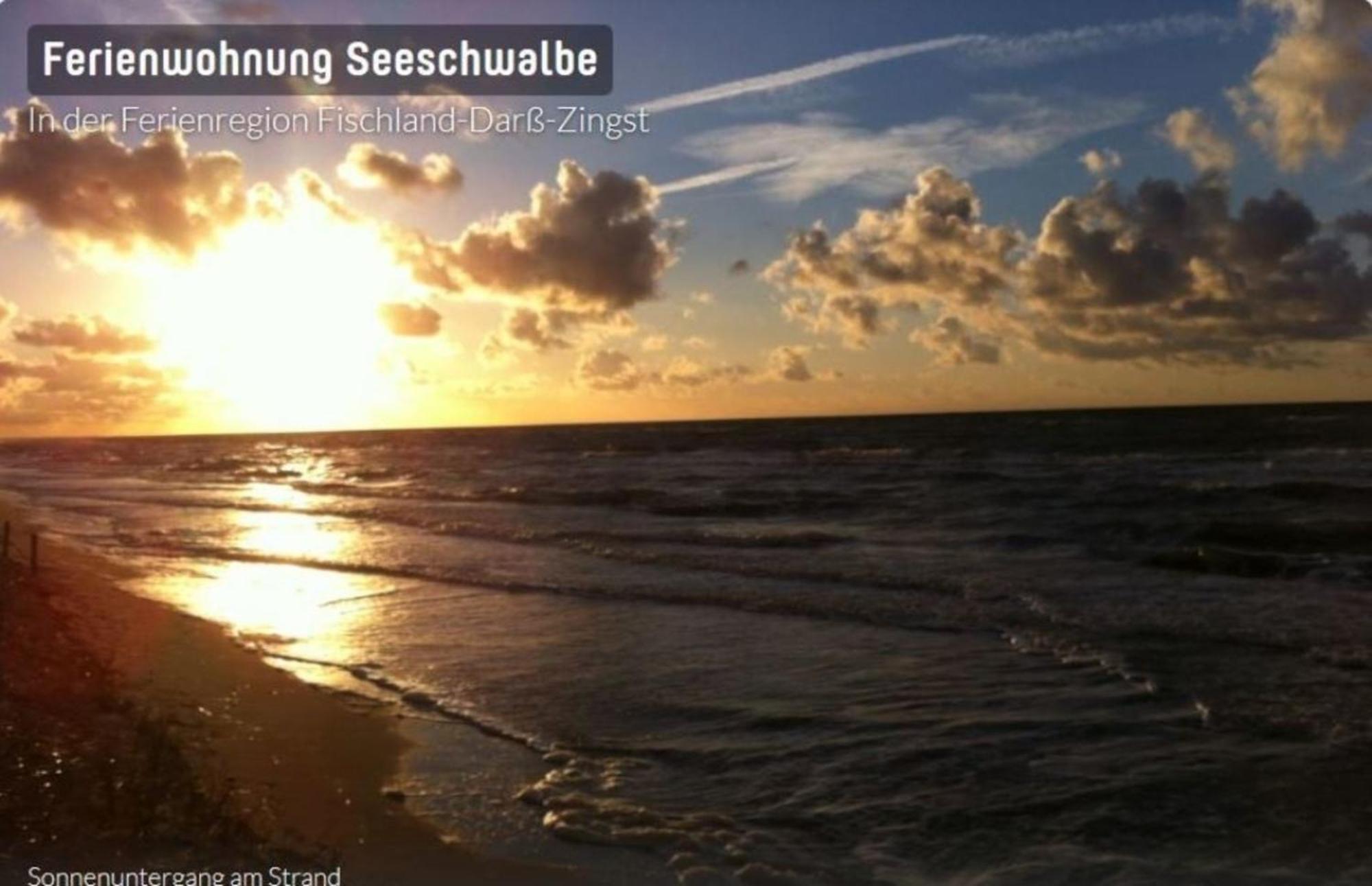 Seeschwalbe App 34 Neuhaus  Luaran gambar